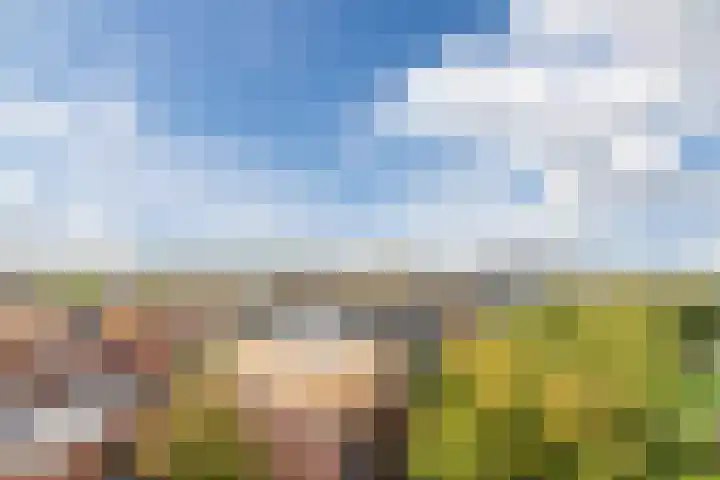 Zonnehof 76 Heerhugowaard thumbnail 22