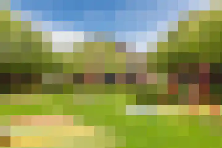 Zonnehof 76 Heerhugowaard thumbnail 34