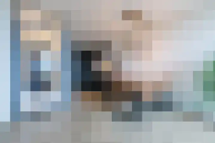 Zonnehof 76 Heerhugowaard thumbnail 6