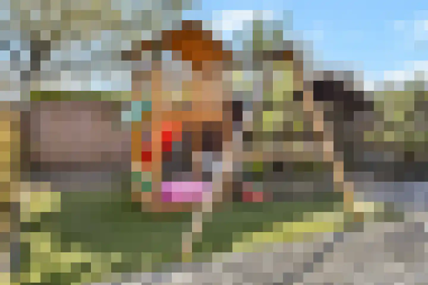 Zonnehof 80 Nootdorp thumbnail 23