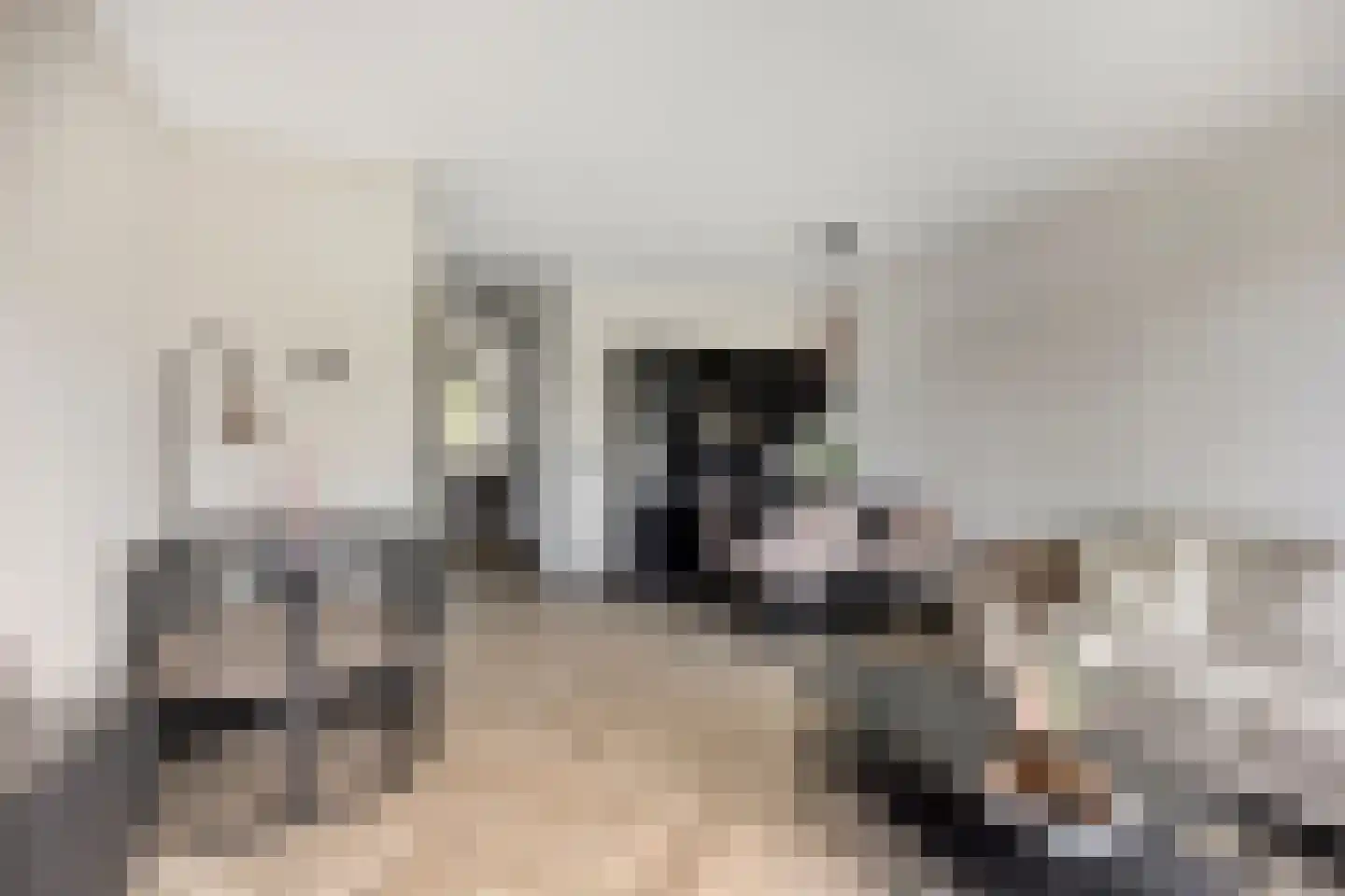 Zonnehof 9 Berkel en Rodenrijs thumbnail 10