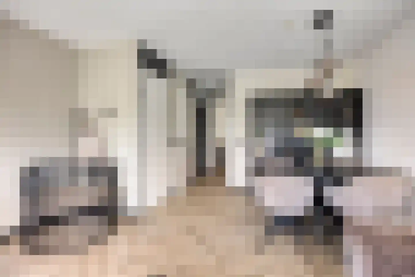 Zonnehof 9 Berkel en Rodenrijs thumbnail 11