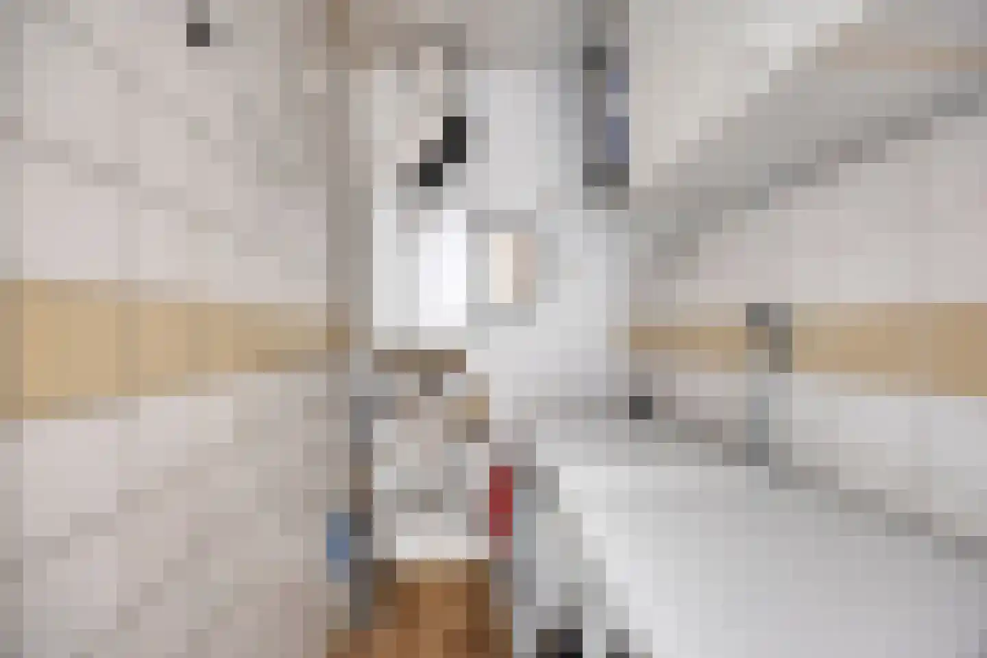 Zonnehof 9 Berkel en Rodenrijs thumbnail 23