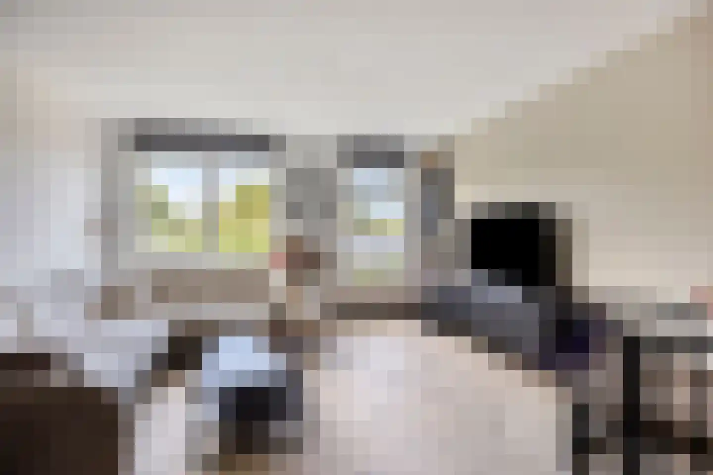 Zonnehof 9 Berkel en Rodenrijs thumbnail 8