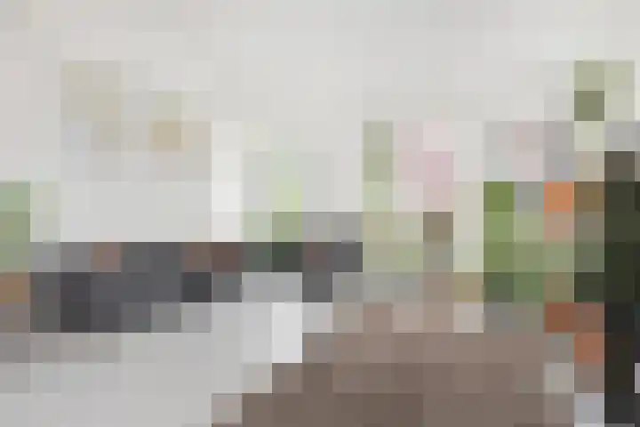 Zonnehof 91 Nootdorp thumbnail 11