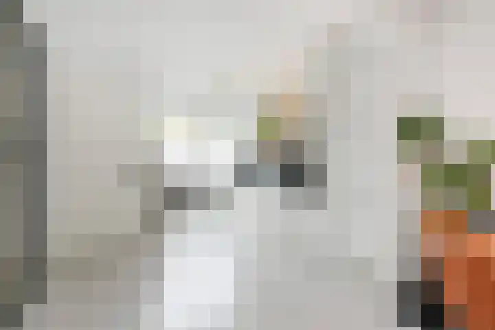 Zonnehof 91 Nootdorp thumbnail 16