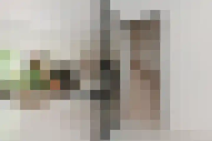 Zonnehof 91 Nootdorp thumbnail 18