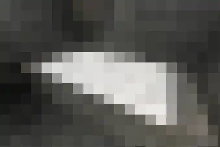 Zonnehof 91 Nootdorp thumbnail 27