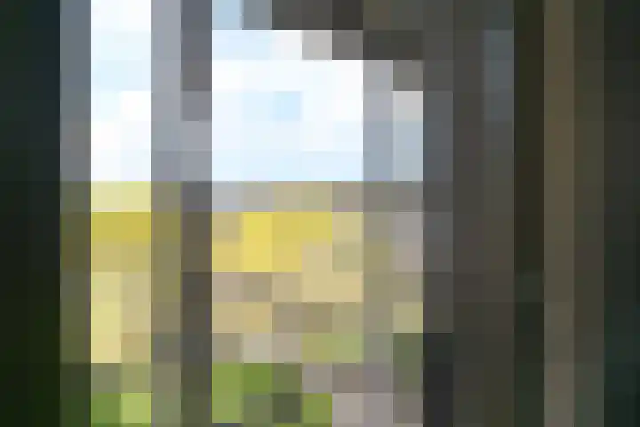 Zonnehof 91 Nootdorp thumbnail 33
