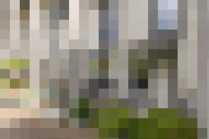 Zonnehof 91 Nootdorp thumbnail 4