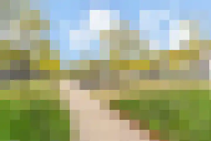 Zonnehof 91 Nootdorp thumbnail 40