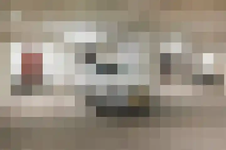 Zonnehof 91 Nootdorp thumbnail 43