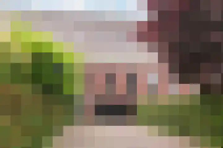 Zonnehof 91 Nootdorp thumbnail 46