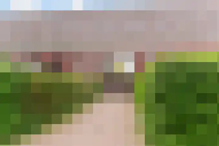 Zonnehof 91 Nootdorp thumbnail 47