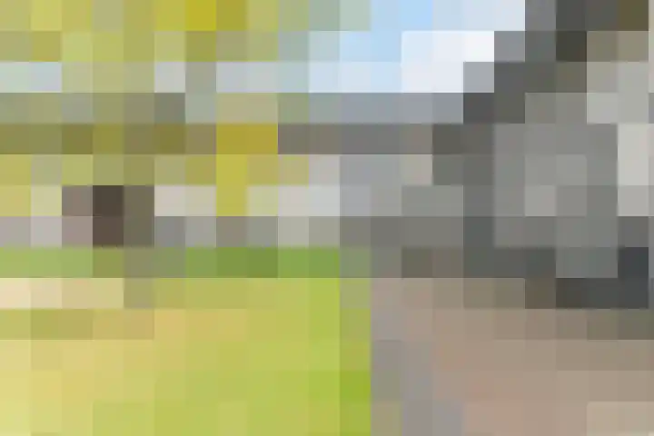 Zonnehof 91 Nootdorp thumbnail 56