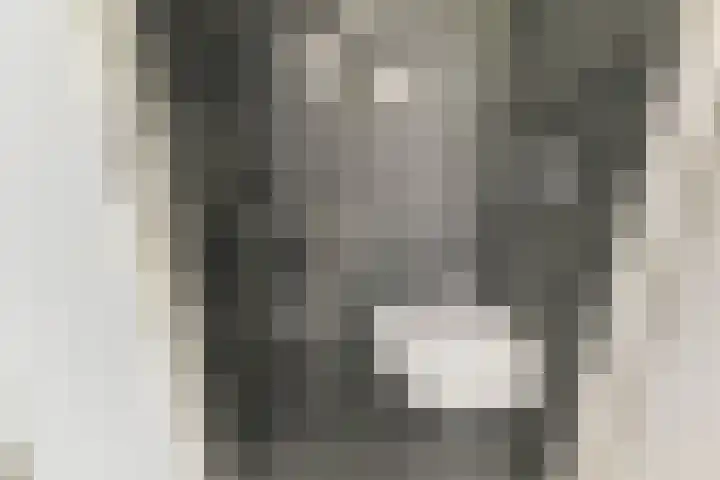 Zonnehof 91 Nootdorp thumbnail 7