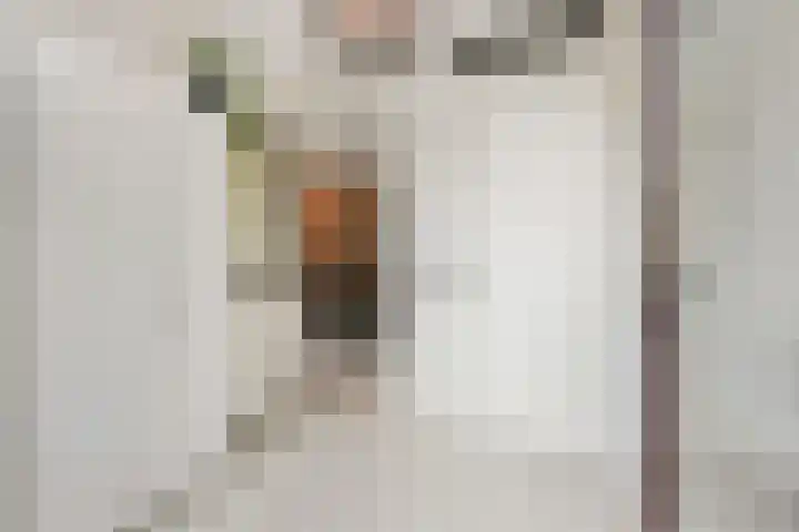 Zonnehof 91 Nootdorp thumbnail 8