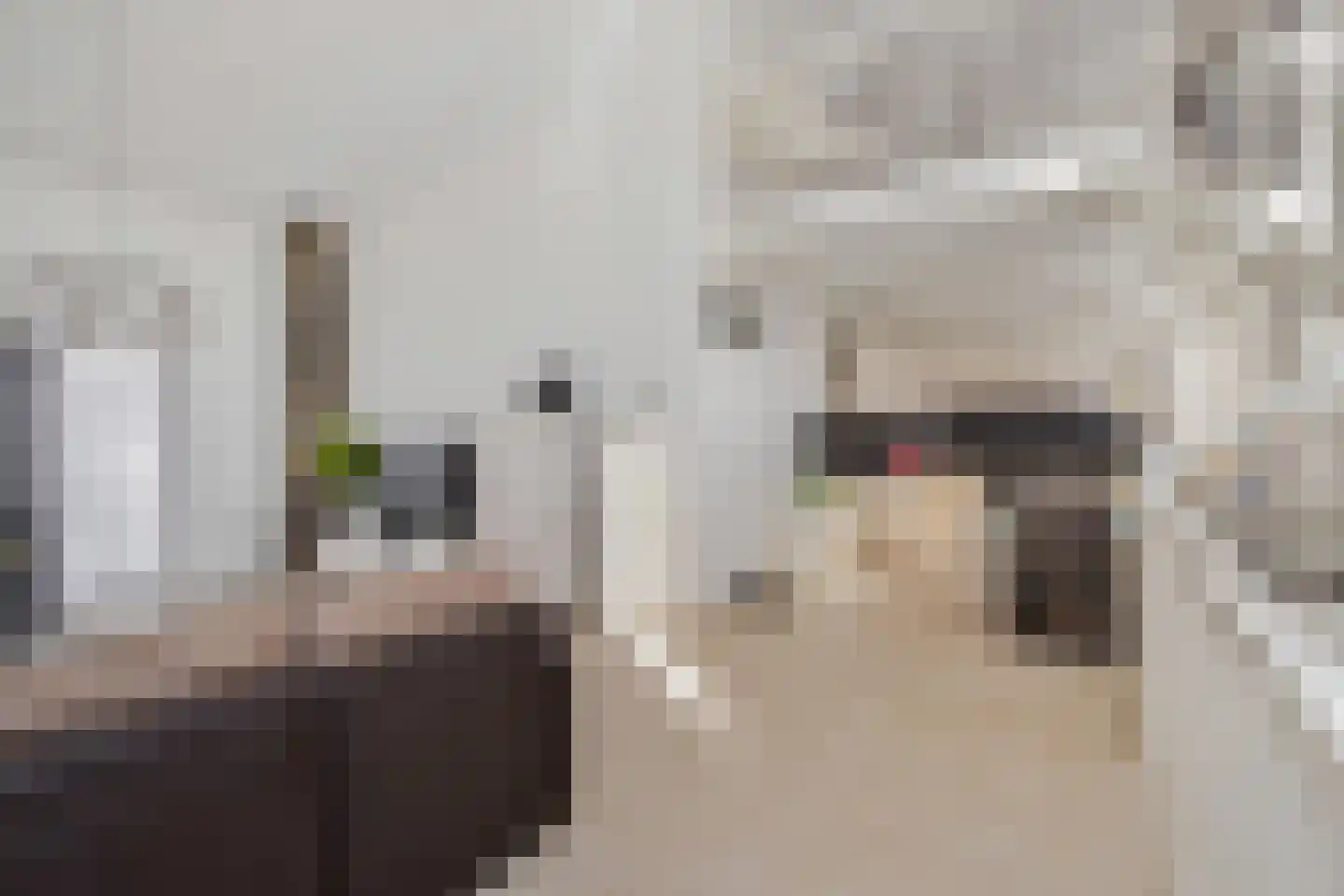Zonnehof 96 Nootdorp thumbnail 18