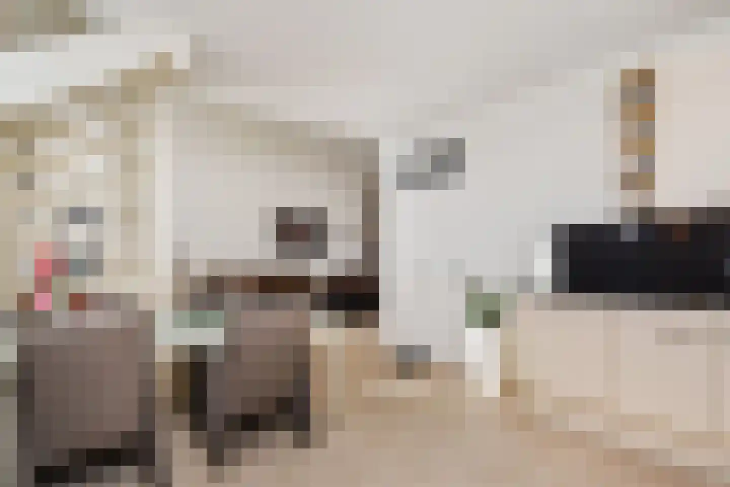 Zonnehof 96 Nootdorp thumbnail 23