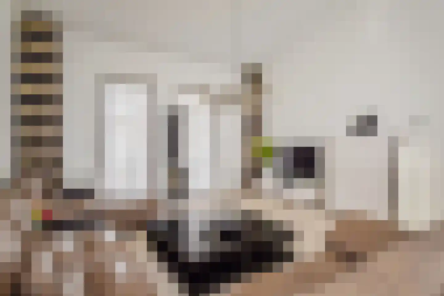 Zonnehof 96 Nootdorp thumbnail 4