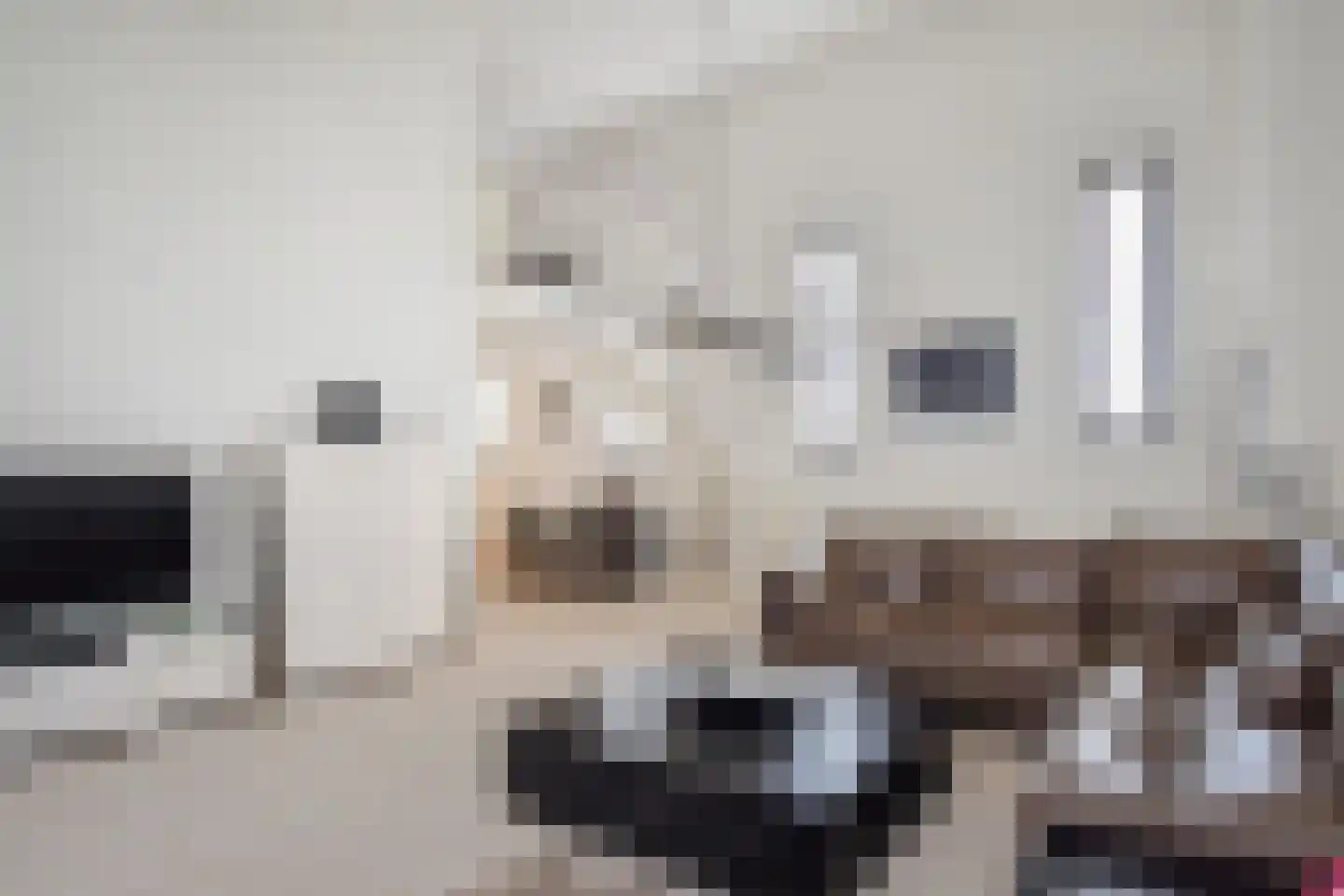 Zonnehof 96 Nootdorp thumbnail 6