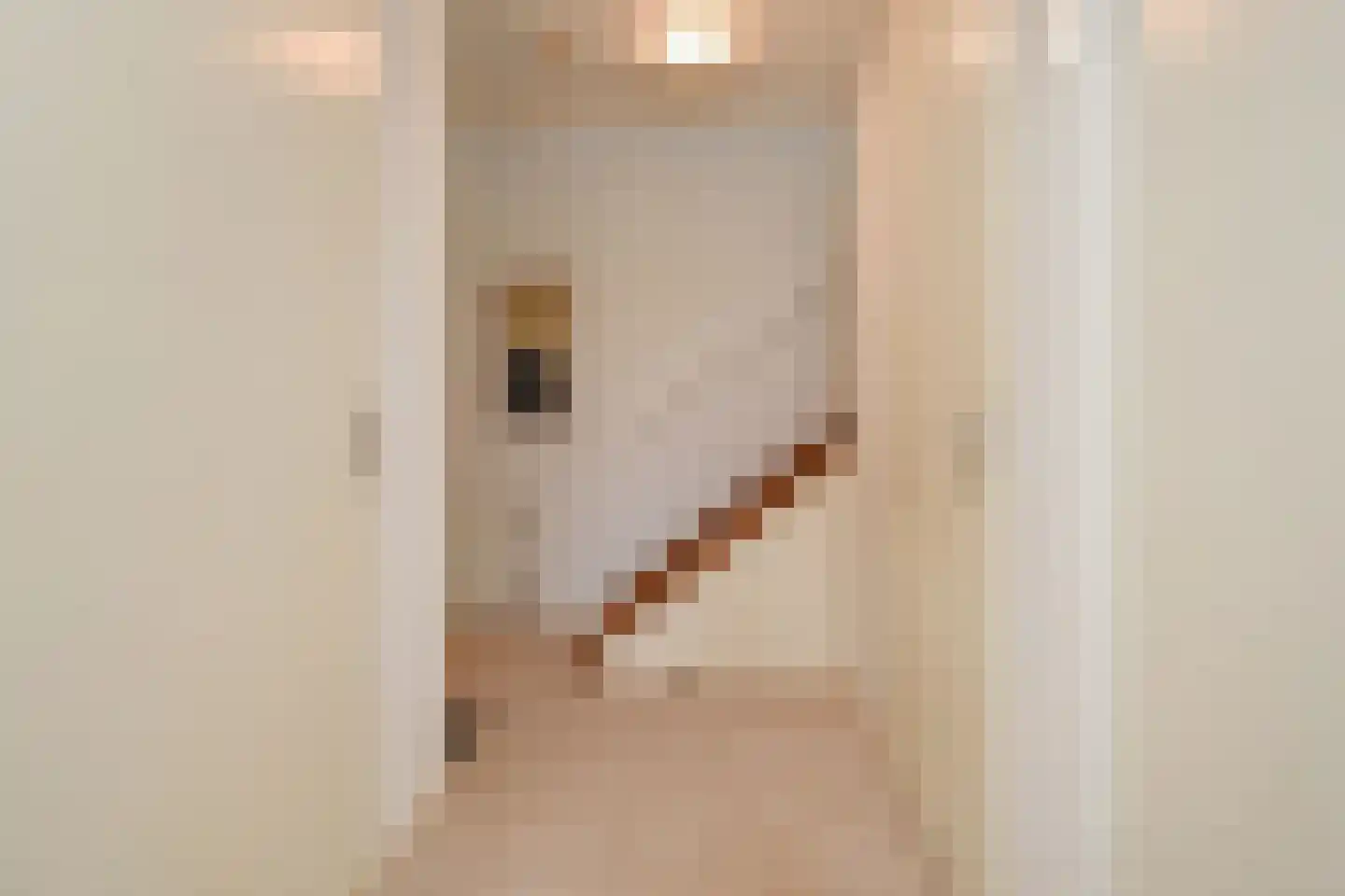 Zonnehof 96 Nootdorp thumbnail 9