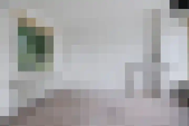Zonnehorst 32 Eelde thumbnail 16