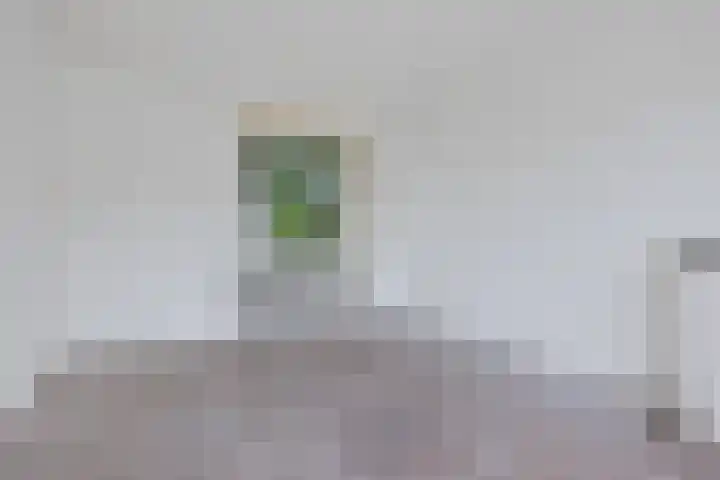 Zonnehorst 32 Eelde thumbnail 17