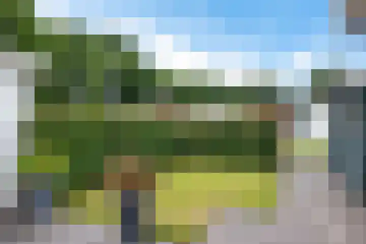 Zonnehorst 32 Eelde thumbnail 4