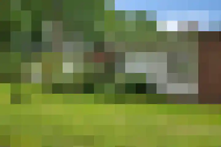Zonnehorst 32 Eelde thumbnail 6