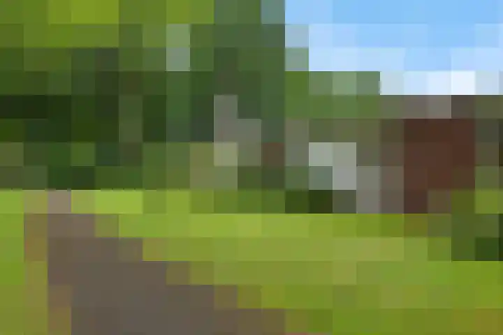 Zonnehorst 32 Eelde thumbnail 7