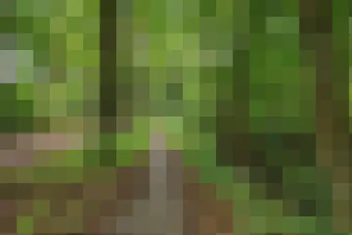 Zonnehorst 32 Eelde thumbnail 8