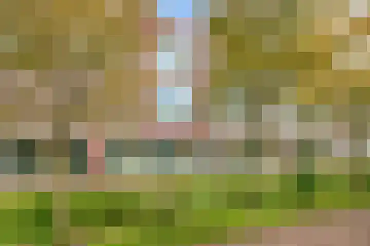 Zonnehout 17 Houten thumbnail 29