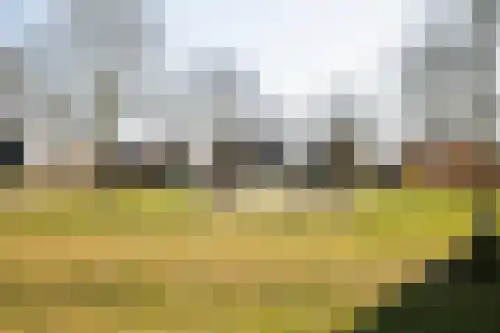 Zonnehout 17 Houten thumbnail 31