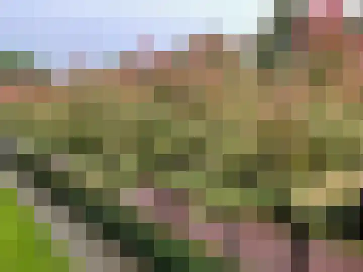 Zonnehout 17 Houten thumbnail 32