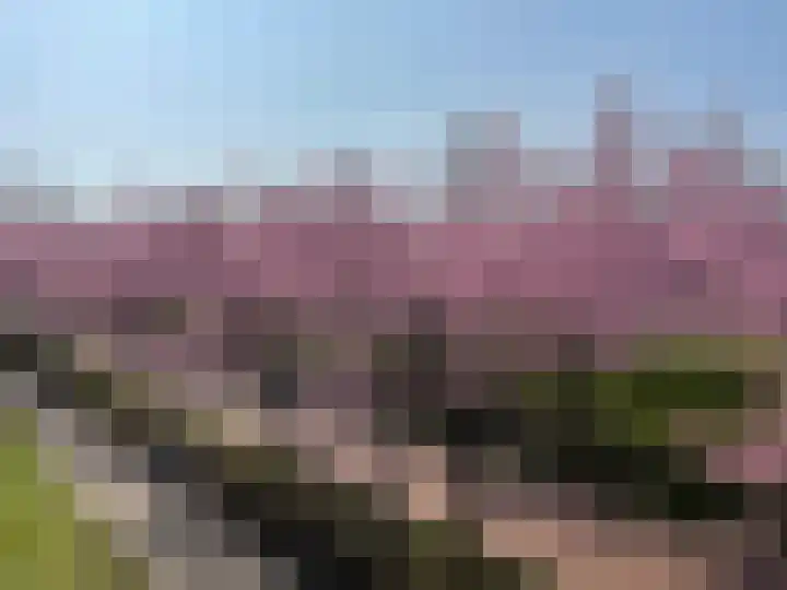 Zonnehout 17 Houten thumbnail 33