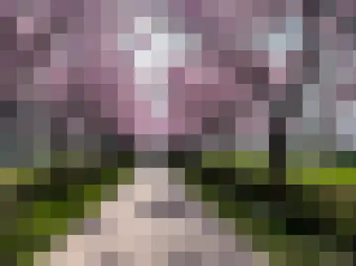 Zonnehout 17 Houten thumbnail 34