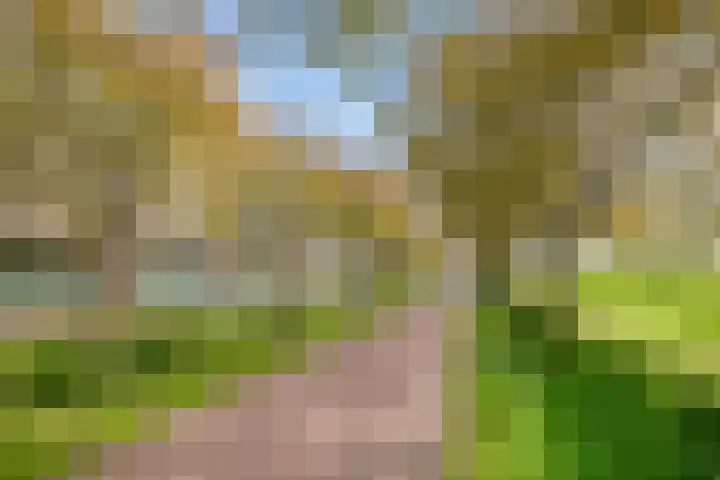 Zonnehout 17 Houten thumbnail 35