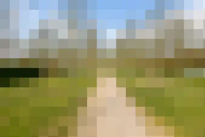 Zonnehout 17 Houten thumbnail 36