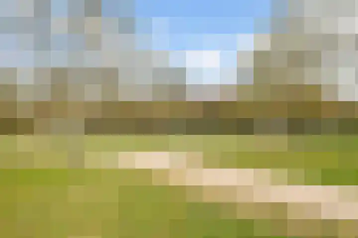 Zonnehout 17 Houten thumbnail 37