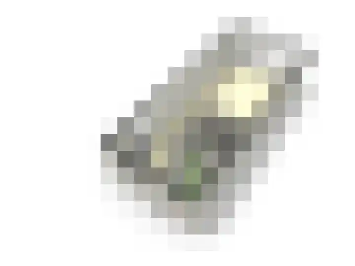 Zonnehout 17 Houten thumbnail 43