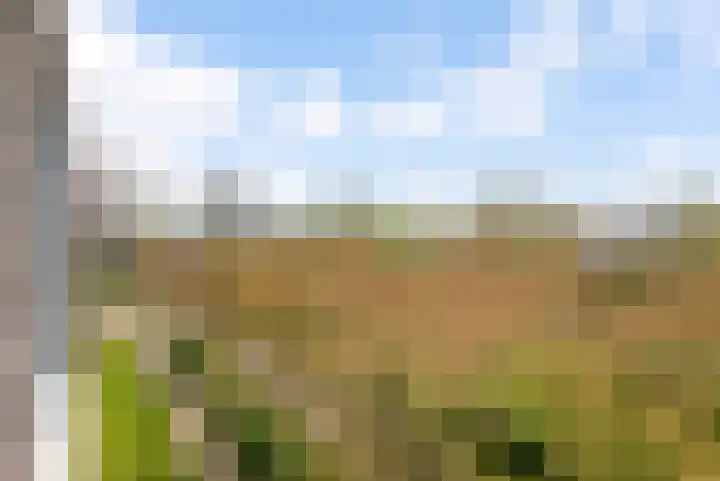 Zonnehout 17 Houten thumbnail 5