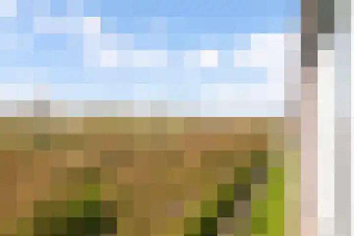 Zonnehout 17 Houten thumbnail 6
