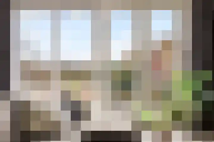 Zonnehout 37 Houten thumbnail 13