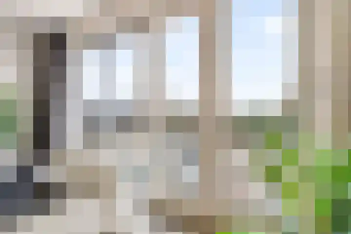 Zonnehout 37 Houten thumbnail 14