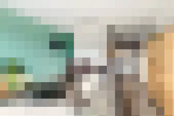 Zonnehout 37 Houten thumbnail 15