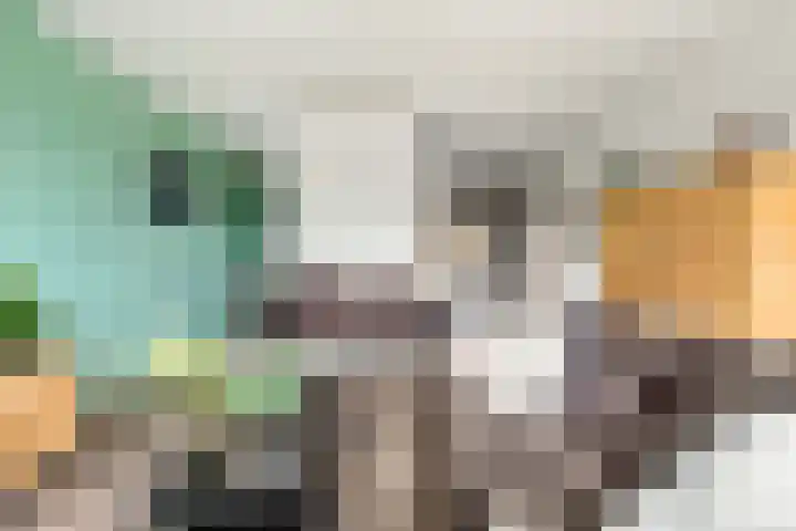 Zonnehout 37 Houten thumbnail 16