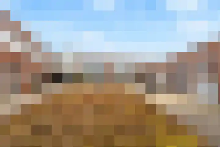 Zonnehout 37 Houten thumbnail 33