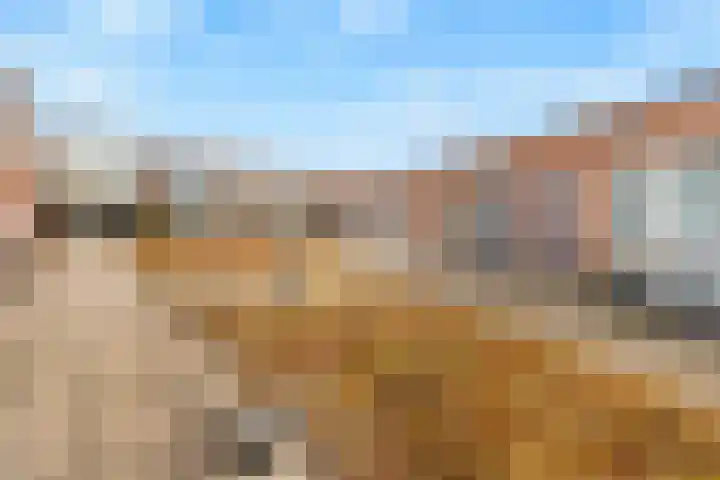 Zonnehout 37 Houten thumbnail 35