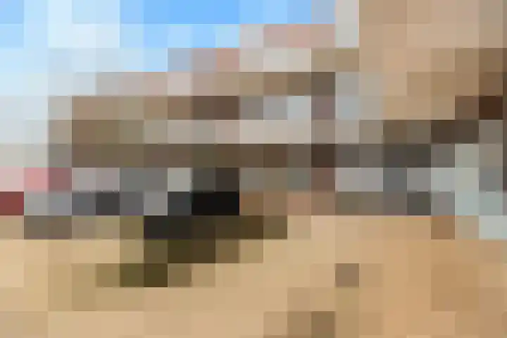 Zonnehout 37 Houten thumbnail 38